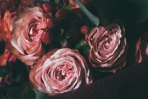 Tử vi thứ 2 ngày 27/9/2021 của 12 cung hoàng đạo: Kim Ngưu vô lý, Bảo Bình chỉn chu