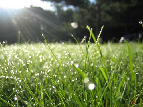 Dự báo thời tiết ngày 4/9/2021: Hà Nội ngày nắng nhẹ, đêm có mưa rải rác