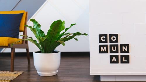 Tử vi tuần mới từ 7 - 13/2/2022 của 12 con giáp: Tị tích cực, Dần chểnh mảng