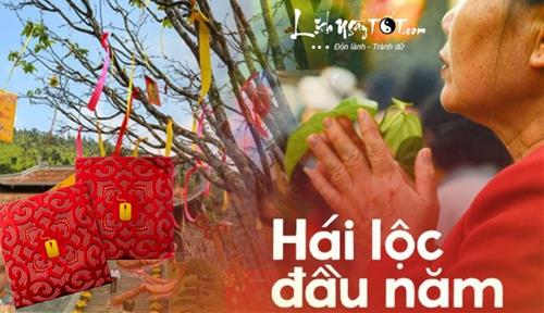 Hái lộc đầu năm 2024: Năm Giáp Thìn hái lộc cây gì, hái như thế nào cho đúng và được may mắn?