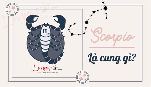 Scorpio là cung gì? Vì sao lúc thì lạnh như băng lúc lại bùng cháy như lửa?