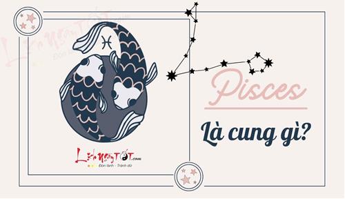 Pisces là cung gì? Tiết lộ những bí ẩn của chòm sao nặng tình nặng nghĩa Pisces