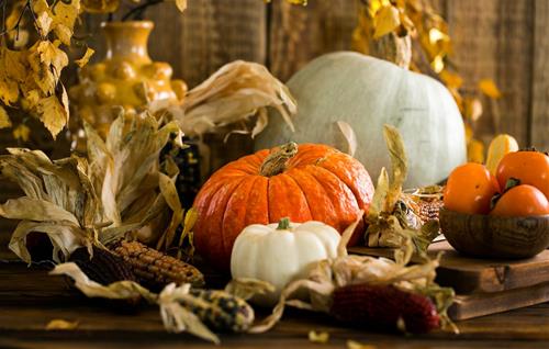 Tử vi tuần mới của 12 cung hoàng đạo (24-30/10/2022): Nhân Mã lạc quan, Kim Ngưu bình tĩnh