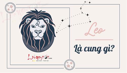 Leo là cung gì? Hé lộ cả mặt tối của chòm sao dũng mãnh và thông thái Leo
