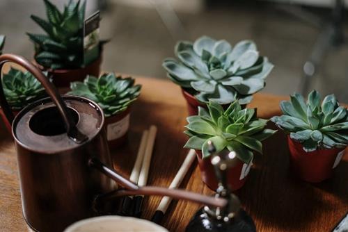 Tử vi tuần mới của 12 cung hoàng đạo (28/11-4/12/2022): Bạch Dương có lộc, Cự Giải sáng tạo