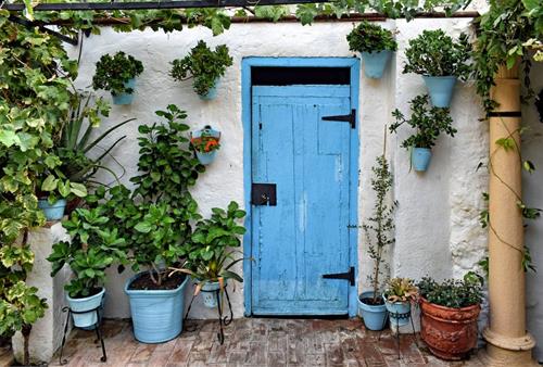 Tử vi thứ 7 ngày 19/11/2022 của 12 con giáp: Tị quyết đoán, Mùi thiếu kiên nhẫn