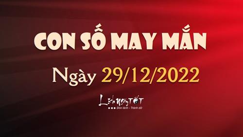 Con số may mắn hôm nay 29/12/2022 theo năm sinh: SỐ giúp bạn PHÁT TÀI NHANH