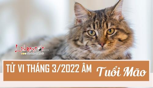 Tử vi tháng 3/2022 tuổi Mão âm lịch: Hung cát đan xen, hãy luôn cố gắng
