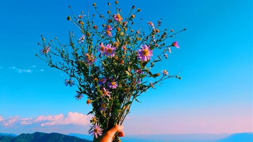 Tử vi thứ 4 ngày 2/3/2022 của 12 con giáp: Dậu may mắn, Tị hiền lành