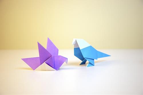 Tử vi tuần mới của 12 cung hoàng đạo (7-13/3/2022): Bạch Dương chân thành, Song Tử bình tĩnh