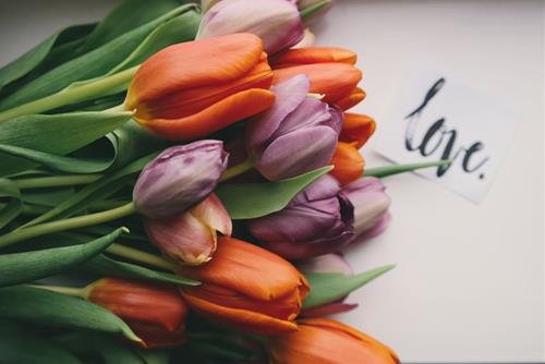 Tử vi hôm nay 24/3/2022 về tình yêu của 12 con giáp: Ai có vận trình thăng hoa?