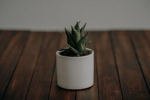 Tử vi thứ 5 ngày 10/3/2022 của 12 con giáp: Mão vượng quý nhân, Dậu kém tập trung