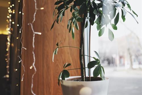 Tử vi thứ 5 ngày 7/4/2022 của 12 con giáp: Sửu năng suất, Thân xung đột