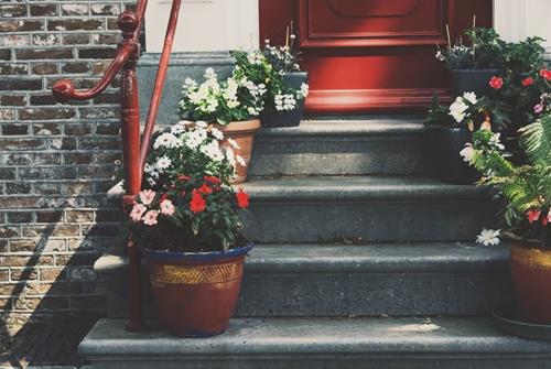 Tử vi thứ 3 ngày 15/3/2022 của 12 con giáp: Dần thêm tự tin, Ngọ thiếu động lực