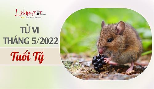 Tử vi tháng 5/2022 tuổi Tý âm lịch: Suy nghĩ cực đoan, vướng vào rắc rối