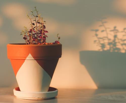 Tử vi thứ 3 ngày 19/4/2022 của 12 con giáp: Mùi tỏa sáng, Thìn gặp tiểu nhân