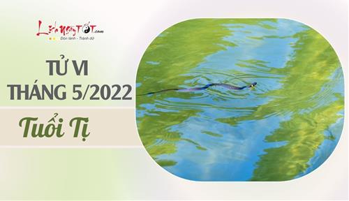 Tử vi tháng 5/2022 tuổi Tị âm lịch: Quý nhân nâng đỡ, cuộc sống sang trang