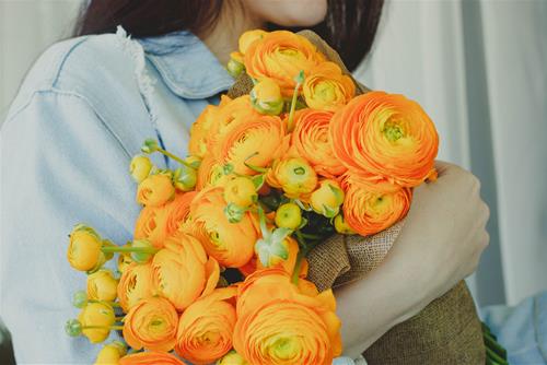 Tử vi thứ 2 ngày 18/4/2022 của 12 cung hoàng đạo: Hổ Cáp bế tắc, Nhân Mã bất an