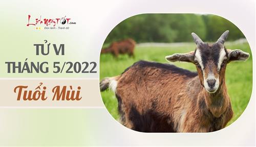 Tử vi tháng 5/2022 tuổi Mùi âm lịch: Cát tinh soi chiếu, vận trình trôi chảy