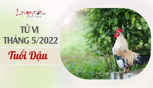 Tử vi tháng 5/2022 tuổi Dậu âm lịch: Suy nghĩ tiêu cực, an phận thủ thường