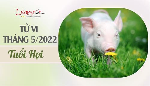 Tử vi tháng 5/2022 tuổi Hợi âm lịch: Cuộc sống bế tắc, khó đạt thành công