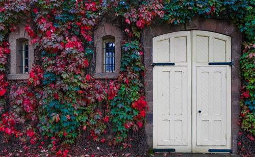 Tử vi thứ 7 ngày 30/4/2022 của 12 con giáp: Tin vui nào đến trong ngày đầu tiên của kỳ nghỉ lễ?