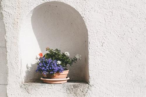 Tử vi thứ 7 ngày 16/4/2022 của 12 con giáp: Tị có tranh cãi, Hợi mất tinh thần