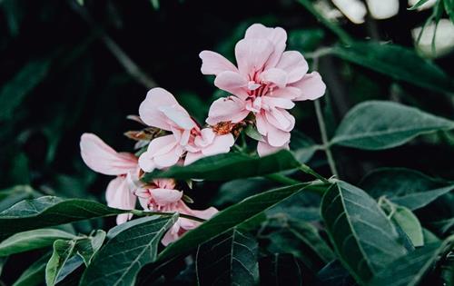 Tử vi Chủ nhật ngày 29/5/2022 của 12 cung hoàng đạo: Sư Tử tự tin, Thiên Bình thất vọng