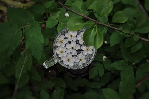 Tử vi tuần mới từ 6 - 12/6/2022 của 12 con giáp: Thìn tất bật, Hợi ổn định