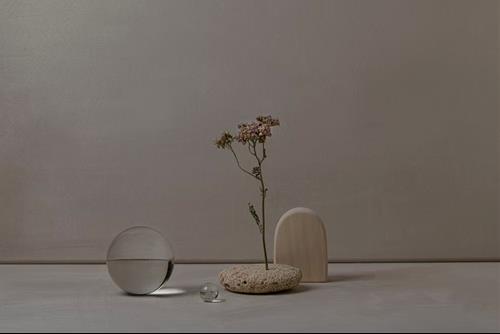 Tử vi thứ 7 ngày 14/5/2022 của 12 con giáp: Ngọ chớ bao đồng, Tuất uể oải