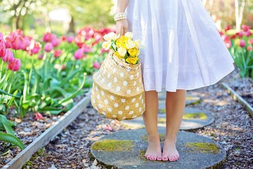 Tử vi thứ 4 ngày 22/6/2022 của 12 con giáp: Thìn được lòng người, Tuất sòng phẳng