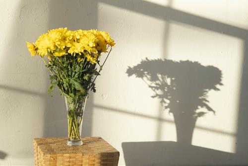 Tử vi Chủ nhật ngày 26/6/2022 của 12 con giáp: Thìn ghét sân si, Ngọ chờ tin vui