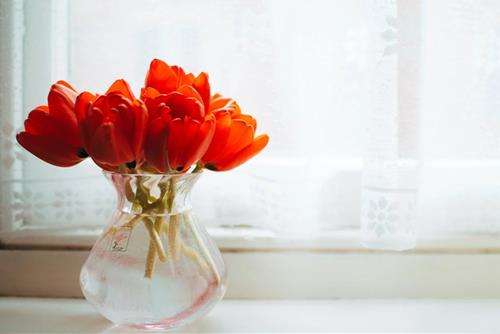 Tử vi thứ 4 ngày 22/6/2022 của 12 cung hoàng đạo: Nhân Mã bảo thủ, Ma Kết sáng tạo