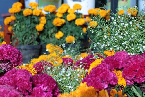 Tử vi thứ 2 ngày 27/6/2022 của 12 cung hoàng đạo: Sư Tử vui vẻ, Ma Kết thay đổi