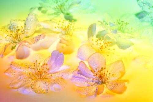 Tử vi Chủ nhật ngày 10/7/2022 của 12 cung hoàng đạo: Sư Tử gặp may, Song Ngư nhạy cảm