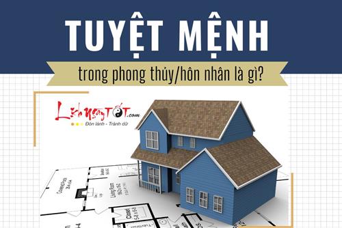 Tuyệt Mệnh là gì? Ảnh hưởng ra sao mà ai cũng sợ nếu lỡ phạm phải?
