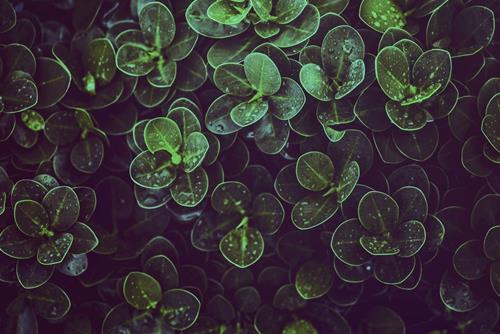 Tử vi Chủ nhật ngày 12/6/2022 của 12 cung hoàng đạo: Ma Kết lười biếng, Song Ngư hay quên