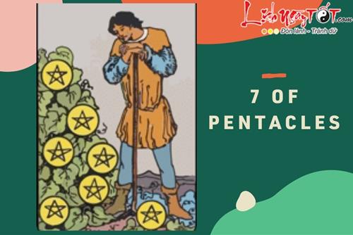 Lá bài 7 of Pentacles là gì? Ý nghĩa lá bài 7 of Pentacles trong Tarot?