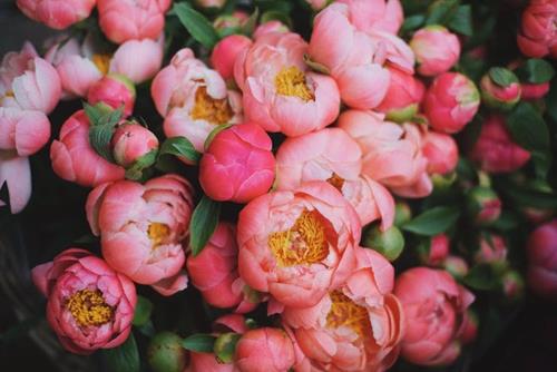 Tử vi tuần mới từ 18 - 24/7/2022 của 12 con giáp: Ngọ gặp may, Hợi hạnh phúc