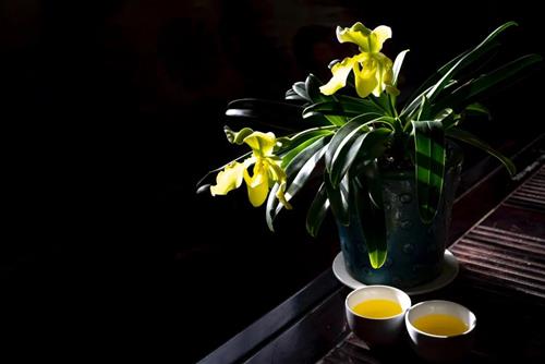 Tử vi thứ 5 ngày 18/8/2022 của 12 con giáp: Sửu rối trí, Ngọ khấm khá