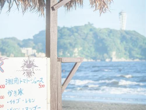 Tử vi tuần mới của 12 cung hoàng đạo (22 - 28/8/2022): Kim Ngưu cần kiên trì, Ma Kết thuận lợi