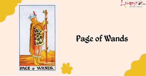 Lá bài Page of Wands là gì? Ý nghĩa đầy đủ đi kèm của lá bài