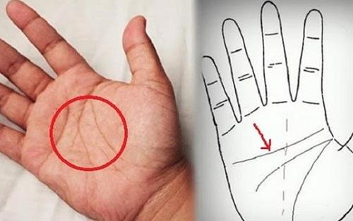 Những đường chỉ tay phụ nữ giàu có, phú quý cả đời mà bạn nhất định không thể bỏ qua