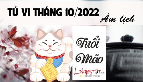 Tử vi tháng 10/2022 tuổi Mão Âm lịch: Nhất định phải đề cao giải pháp an toàn