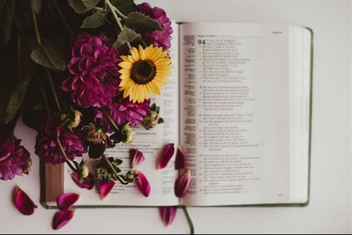 Tử vi thứ 7 ngày 8/10/2022 của 12 con giáp: Ngọ bế tắc, Dậu gặp trở ngại