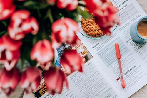 Tử vi thứ 5 ngày 13/10/2022 của 12 con giáp: Hợi gặp may, Tý tăng nguồn thu