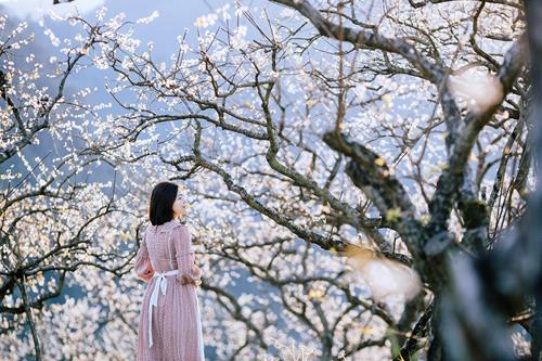 Tử vi thứ 6 ngày 20/1/2023 của 12 cung hoàng đạo: Xử Nữ e ngại, Song Tử bất ổn