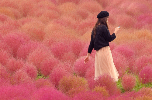 Tử vi tuần mới của 12 cung hoàng đạo 23 - 29/10/2023: Sư Tử giỏi giang, Nhân Mã tự do