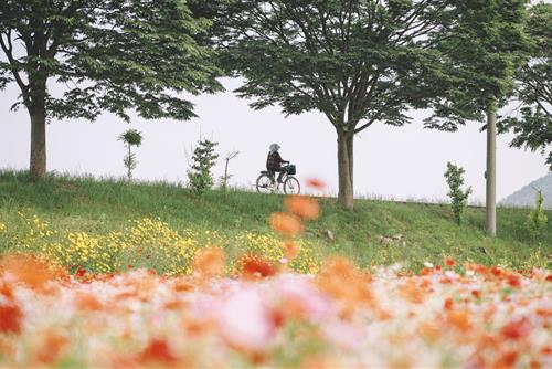 Tử vi thứ 4 ngày 18/10/2023 của 12 cung hoàng đạo: Sư Tử bất ổn, Ma Kết tinh tường