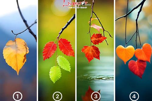 Trắc nghiệm tâm lý: Nửa cuối tháng 11/2023, đâu là VẤN ĐỀ LỚN khiến bạn ĐAU ĐẦU nhất?